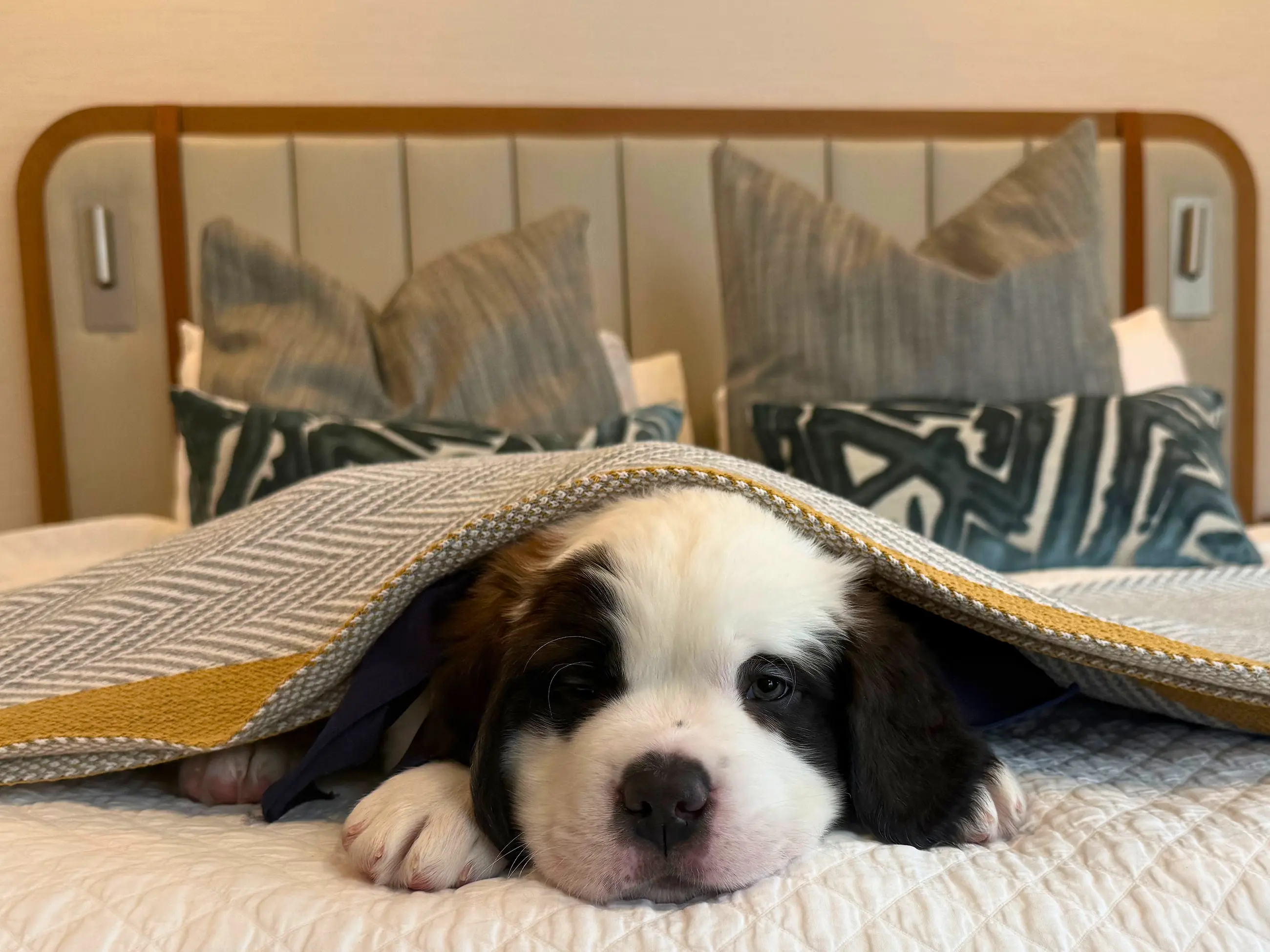 Flowers near fireplace.