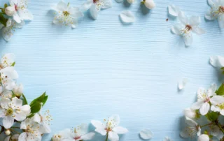 Flowers on a blue wood.