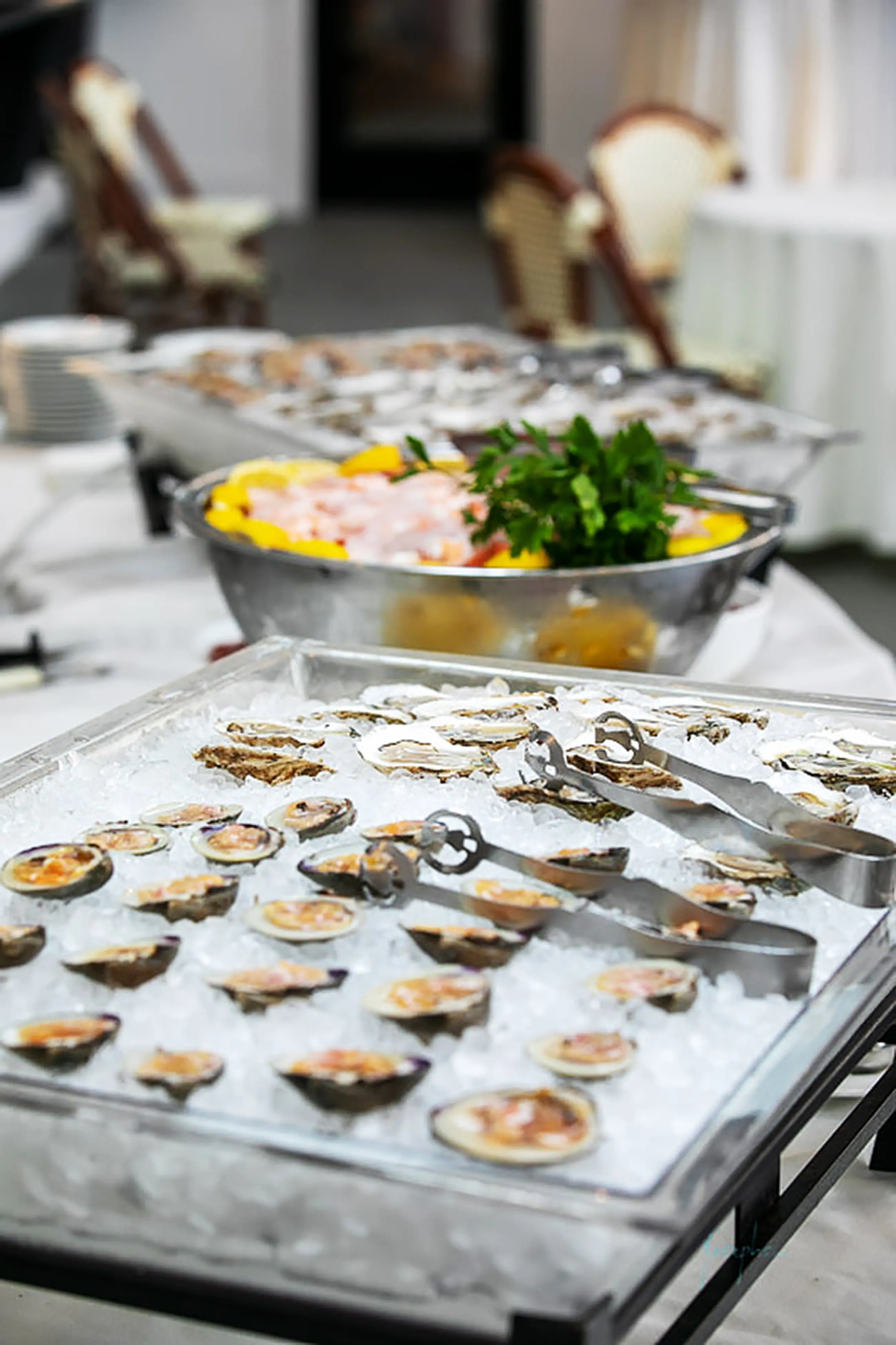 351d delliagna – josephs oysters